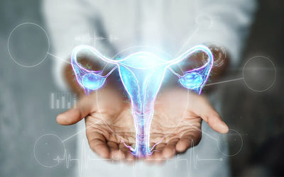 Female reproductive system, do you know how it is formed?
