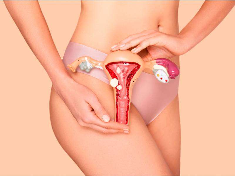 Pelvic Pain and Menopause: Everything you need to know