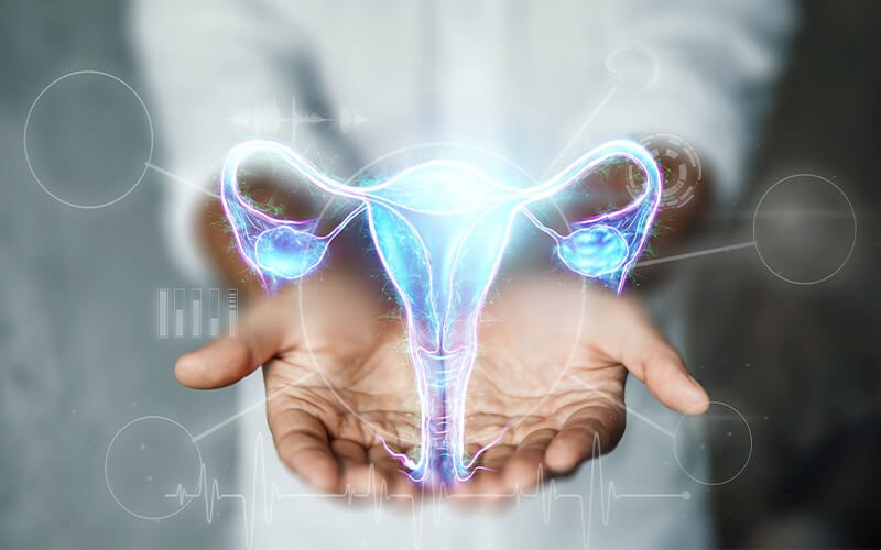 Female reproductive system: know, love and care for it